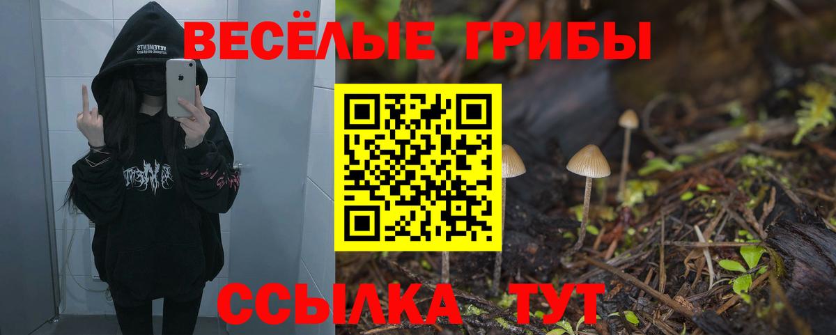 Галлюциногенные грибы GOLDEN TEACHER  Вход с VPN  Электрогорск 